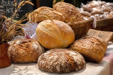 Zapach świeżego pieczywa, regionalne smaki, muzyka na żywo i atrakcje dla całych rodzin. Tak zapowiada się tegoroczny Festiwal Chleba w Chrobrzu. Organizatorzy przygotowali program, który połączy tradycję z dobrą zabawą. Na uczestników czekają pokazy, koncerty, warsztaty oraz bezpłatne atrakcje dla najmłodszych i miłośników wyjątkowych widoków.