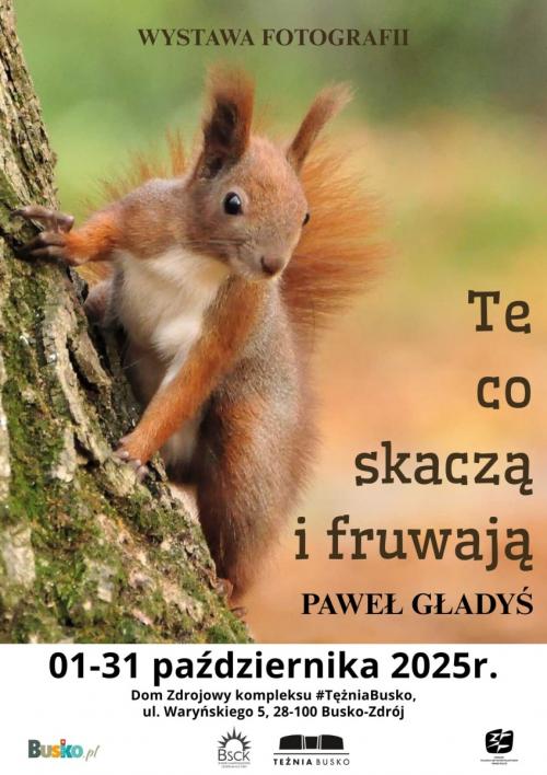 Zobacz 