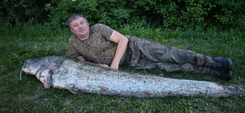 Zawody sumowe na Radzanowie? PZW Busko-Zdr�j zbiera ch�tnych. Jest o co walczy�. Foto: 43117_sum_pzw_busko.jpg 