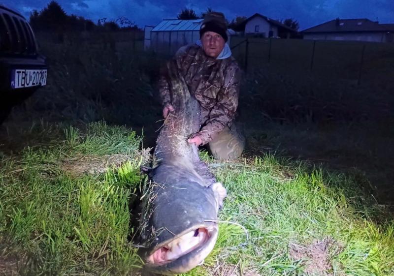 Rekordowy sum wy�owiony podczas pierwszych zawod�w w Radzanowie. Mia� a� 203 cm. Foto: 43173_rekordowy_sum_radzanow_1.jpg 