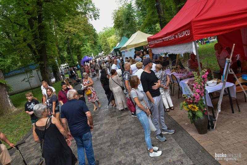Polska Smakuje w Busku-Zdroju. 15 K� Gospody� Wiejskich powalczy w Parku Zdrojowym. Foto: 43414_bitwa_regionow_i_piknik_w_parku_zdrojowym_busko_001.jpg 